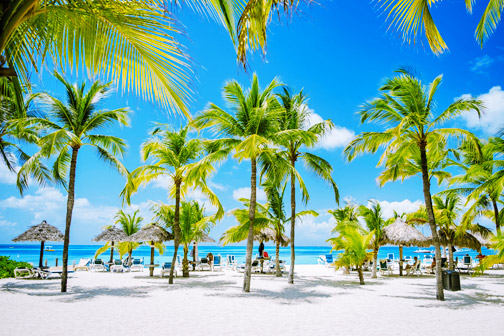 Wit zandstrand met hoge palmbomen, ligbedden onder rieten parasols en helderblauwe zee op de achtergrond onder een stralende lucht.